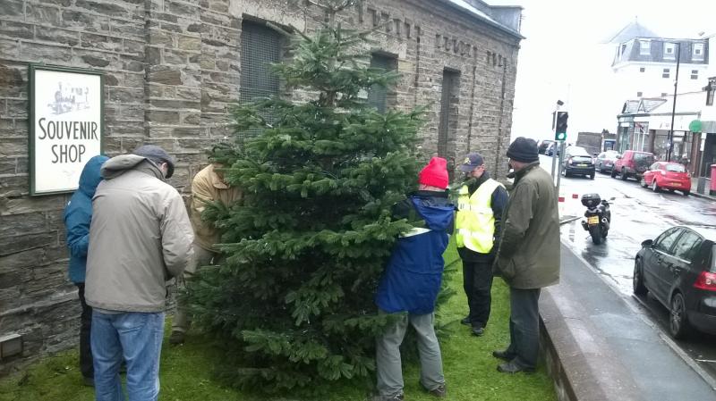 Erecting Port Erin Christmas Tree in 2015 - 