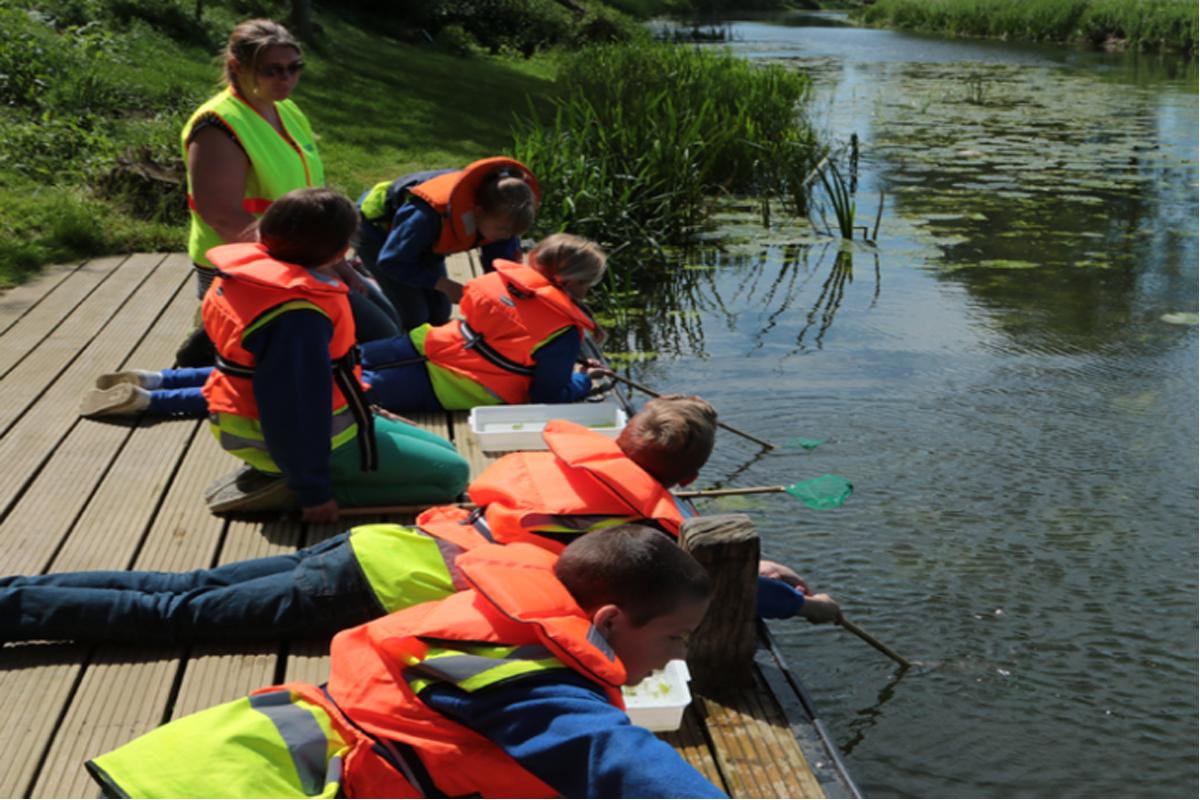 Children 'pond-dipping' to learn about creatures living in the River Stour.