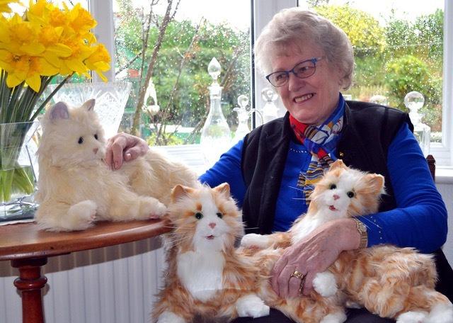 Sheila Wainwright with her robotic cats