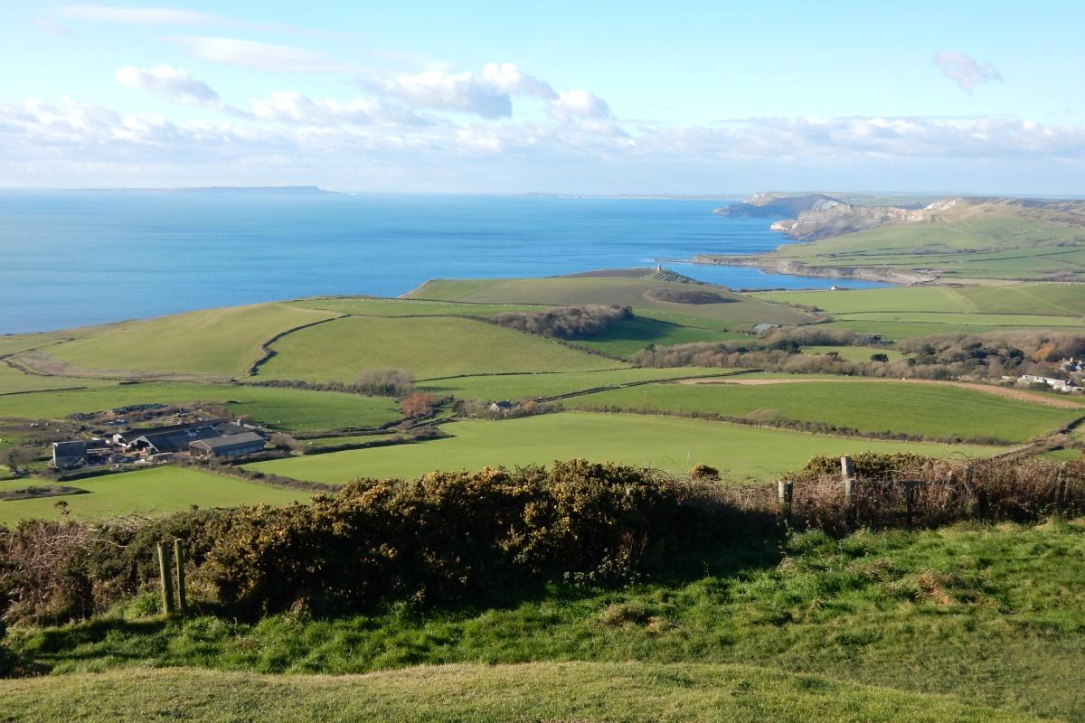 The view from Swyre Head