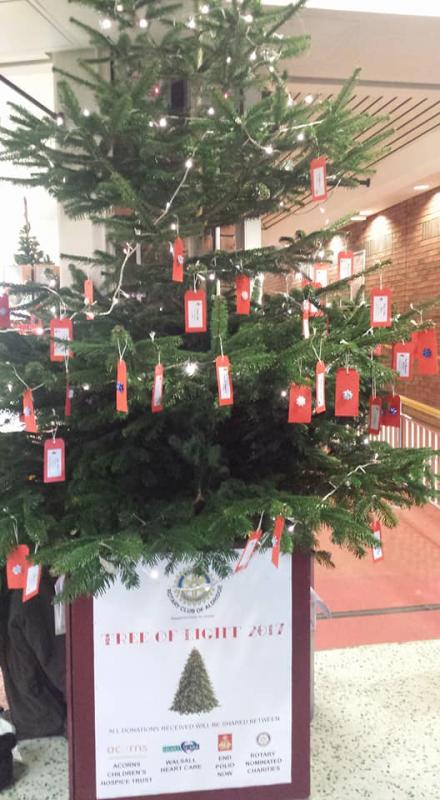 The tree in Morrisons