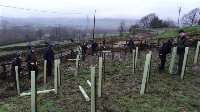 Tree Planting Cold Well Farm, Wilsden