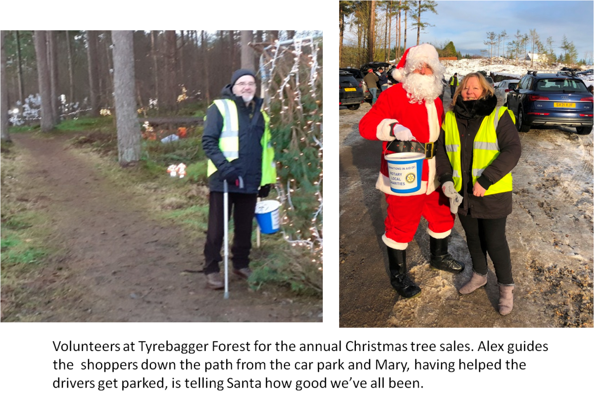 Volunteers at the forest