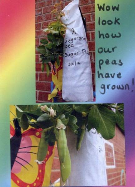 Here is one of the photos sent by Year 3 pupils at Woodbank Primary School.