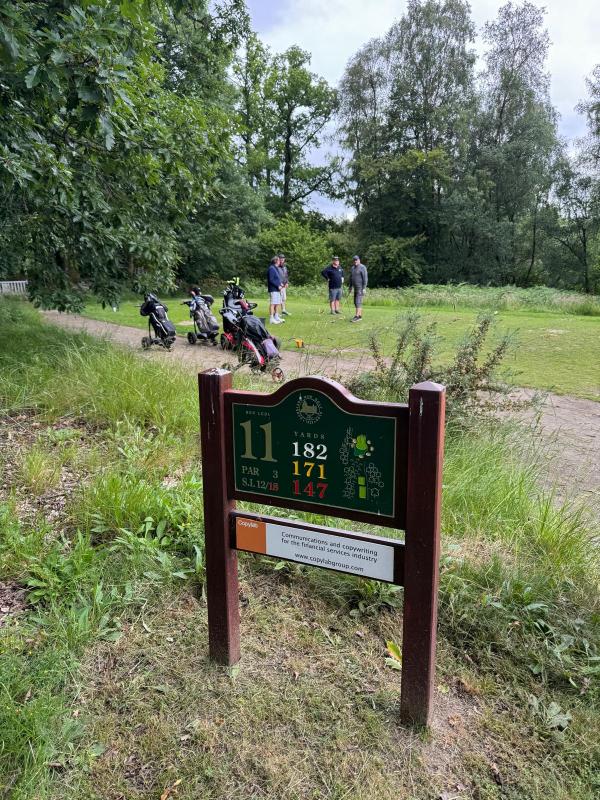 On the tee