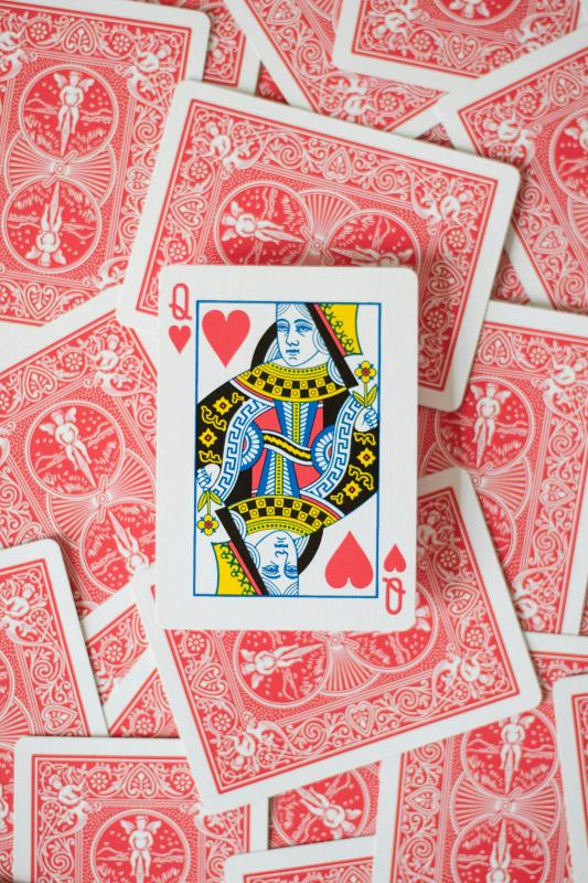 	Anne Symons (Scottish International Bridge player): Title: Bridge the best game