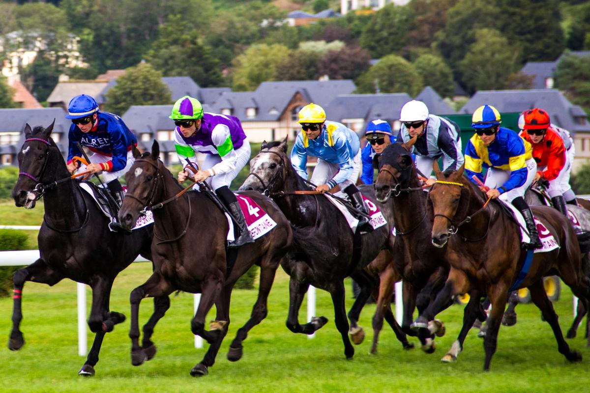 Horse Race   
Photo by Philippe Oursel on Unsplash