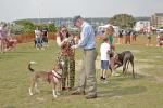 Best in Show presentation 2024 