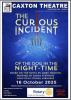 Curious Incident
