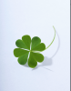 Good luck to you!
