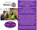 Purple4Polio
