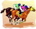 Race horses