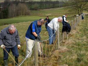 Blaize members hard at work tree planting