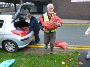 Planting Bulbs ready for Spring