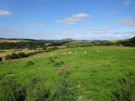 Minto Hills from my home at Westcote