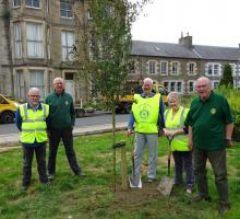 Tree Planting