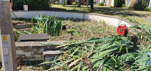 Ingleton House Pond Project  - June 2020