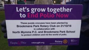 End Polio Now Day Plaque
