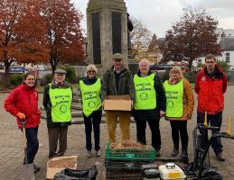 Crocus Planting 2019