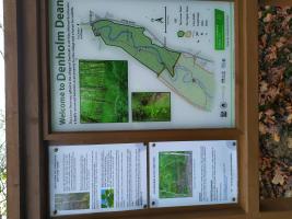 Tree Planting at Denholm Dean