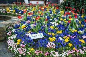 Rotary Club of East Grinstead Meridian Sponsors Flower Bed Planting in East Grinstead High Street