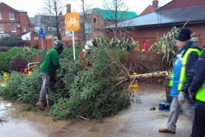 Tree of Light 2017 Take Down!