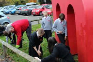 Marches Students Plant Crocuses to Support Polio Eradication