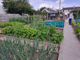 Dalbeattie Allotments