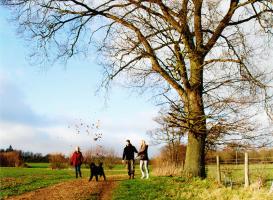 Rotary Club of Halstead Young Photographer Competition