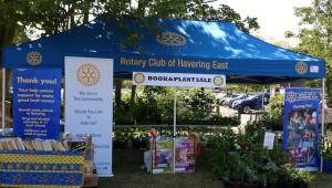 Rotary Awareness Fete