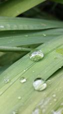 2015-16 Photo Competition - Winners