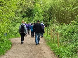 Rotary Walk