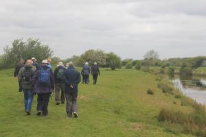 Pevensey Walk