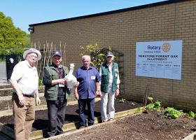 Some Allotmenteers