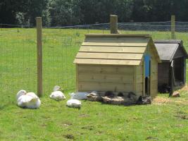 Patchwork Farm Chailey Heritage