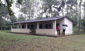 Solar panels in situ