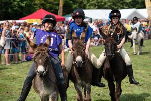 Burnham Donkey Derby