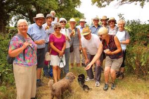 2018-07-10 Rotary Walk