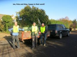 Christmas tree sales and delivery