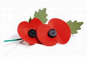 British Legion Poppy Appeal - Nov 2019