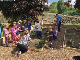 Vegetable Garden at St Mary's School