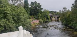 Duck Race and Fling 2023