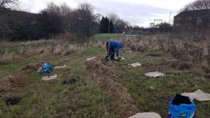 Tree Planting