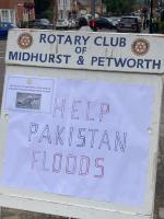 Collection in Midhurst