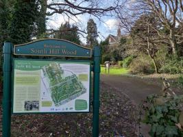 South Hill Wood - March 2022
