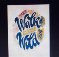 Walk on the Wild Side, 28th August 2024