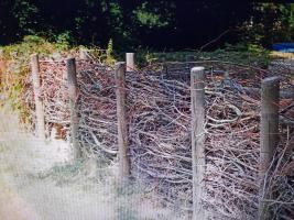 Dead Hedging 28th August 2024