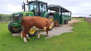 Joyful Day Out at Hesketh Farm 