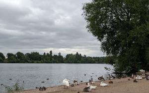 The Mere at Ellesmere