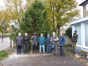 Christmas Tree  - Annual Erection : 2013